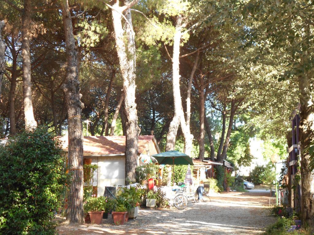 Iron Gate Marina3B Hotel Sarzana Exterior photo